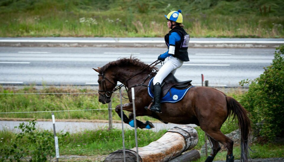 Ponny SM Fälttävlan hålls i år på Nynäs Gård och i tävlingen ingår terräng som ett moment.