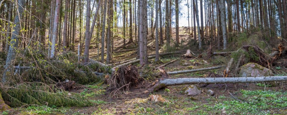 Satsa på klimatanpassning