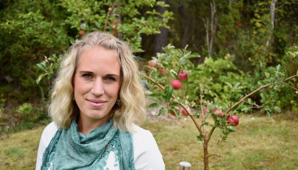 Författare. Elisabeth Lannergård. Författare. Elisabeth Lannergård.
