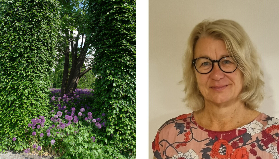 Anna Möller, chef för Yrkeshögskolan i Enköping. Anna Möller, chef för Yrkeshögskolan i Enköping.