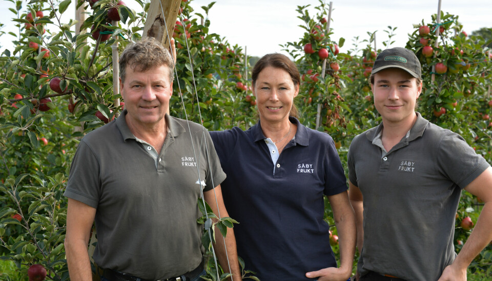 Äppelodlare. Säby Frukt och Lantbruk är en av Mälardalens största äppelproducenter. Gården drivs av (från vänster) Peter, Camilla och Jakob Sivander.