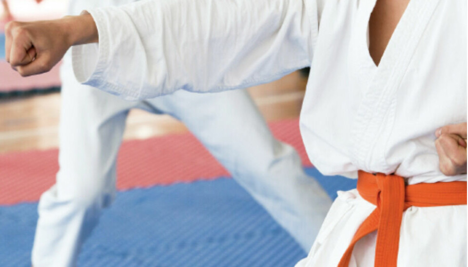 18 oktober – Öppen aktivitet: karate.