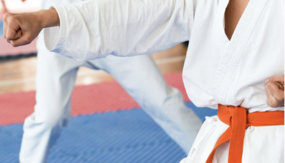 18 oktober – Öppen aktivitet: karate. 18 oktober – Öppen aktivitet: karate.