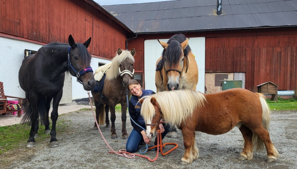 Stark med Häst. Rita Stukenborg med sina terapihästar. Längst fram står Linus, och bakre raden från vänster: Choko, Titla och Tarras.