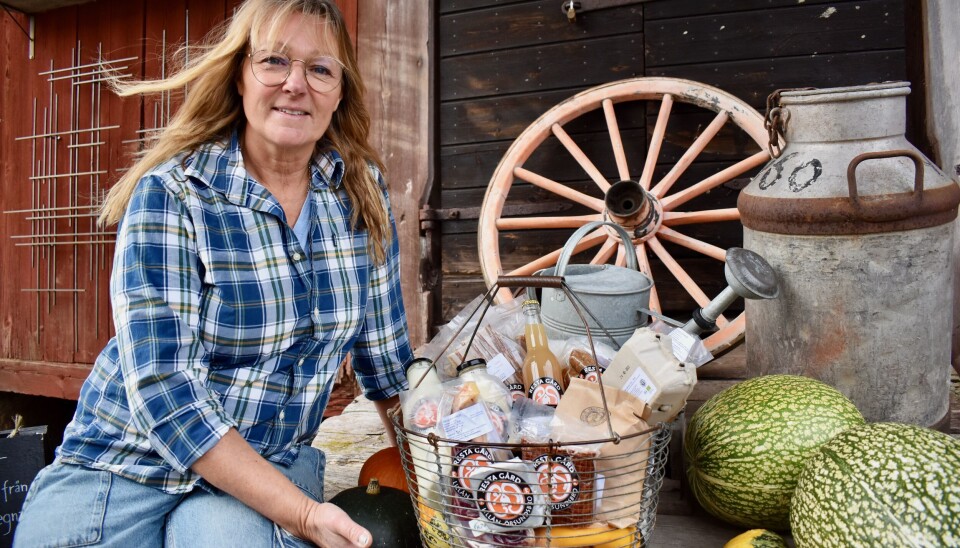 Komplett korg. Mjölk, ägg, mjöl, kött, honung, äppelmust och pumpor från Resta gård. Komplett korg. Mjölk, ägg, mjöl, kött, honung, äppelmust och pumpor från Resta gård.