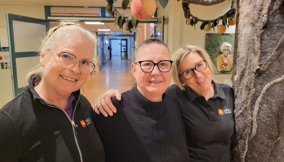 Eva-Lena Andersson (i mitten) tillsammans med hennes egna ”eldsjälar” Annette Wernblom (till vänster) och Karin Fernström, aktivitetsledare på Pomona.