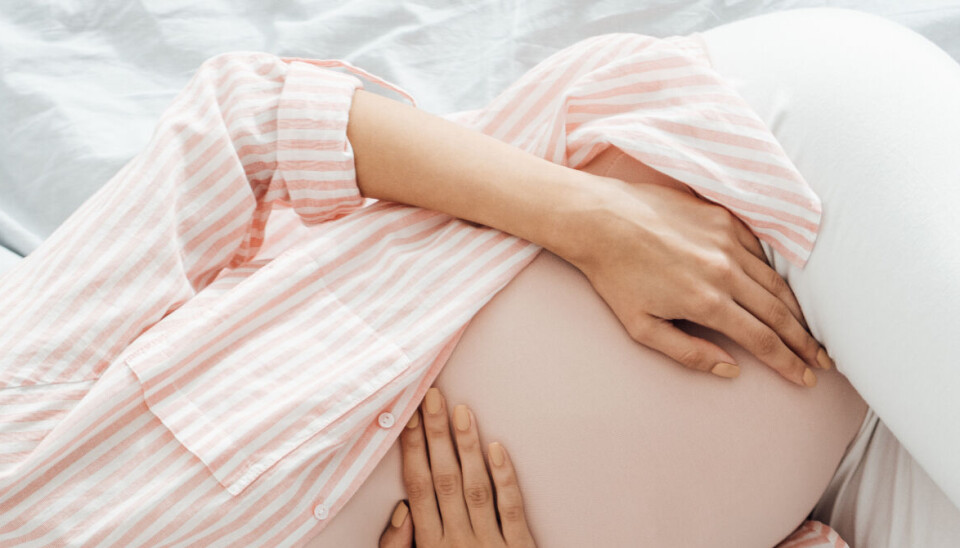 Gravid. Arkivbild.