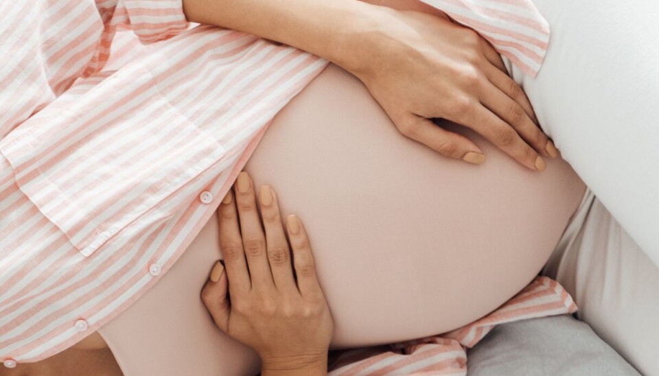 Gravid. Arkivbild. Gravid. Arkivbild.
