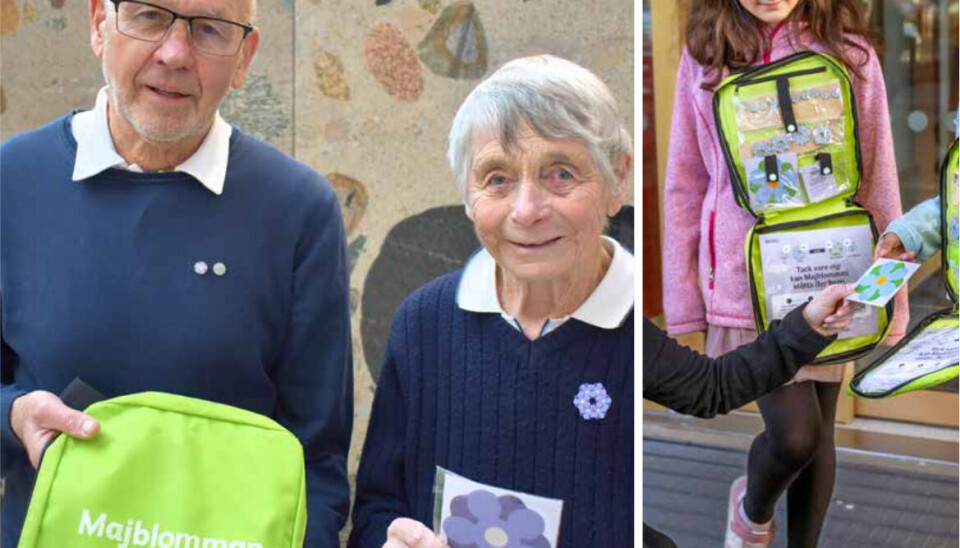 VIKTIG INSATS. Sören Karlsson och Lisbeth Hallengreen, Majblommeföreningen i Enköping. Till höger en genrebild på barn som säljer Majblomman. VIKTIG INSATS. Sören Karlsson och Lisbeth Hallengreen, Majblommeföreningen i Enköping. Till höger en genrebild på barn som säljer Majblomman.
