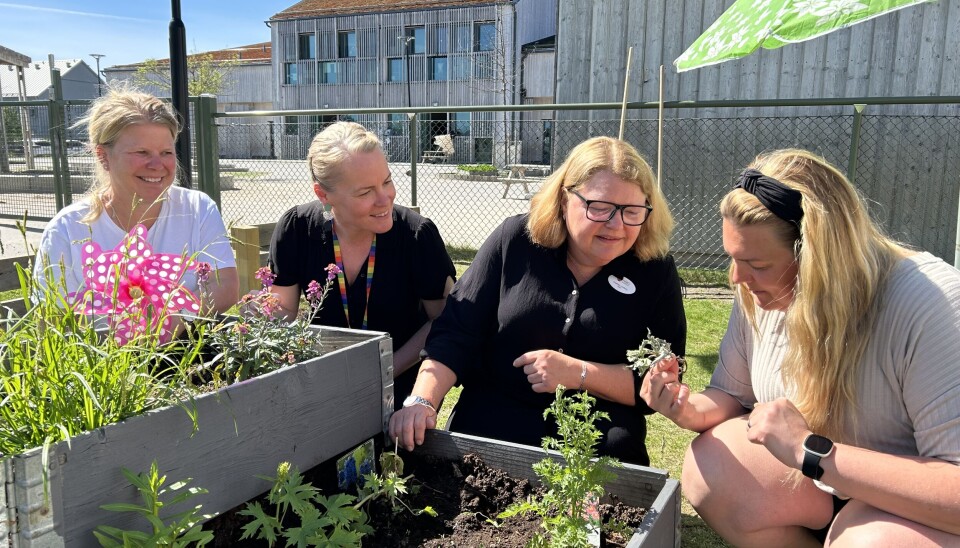 I fjärilsträdgården blomstrar det och växer. På bild från vänster: Anna Dennerman, Karin Grip, Charlotte Lundberg och Sara Holmberg Persson.