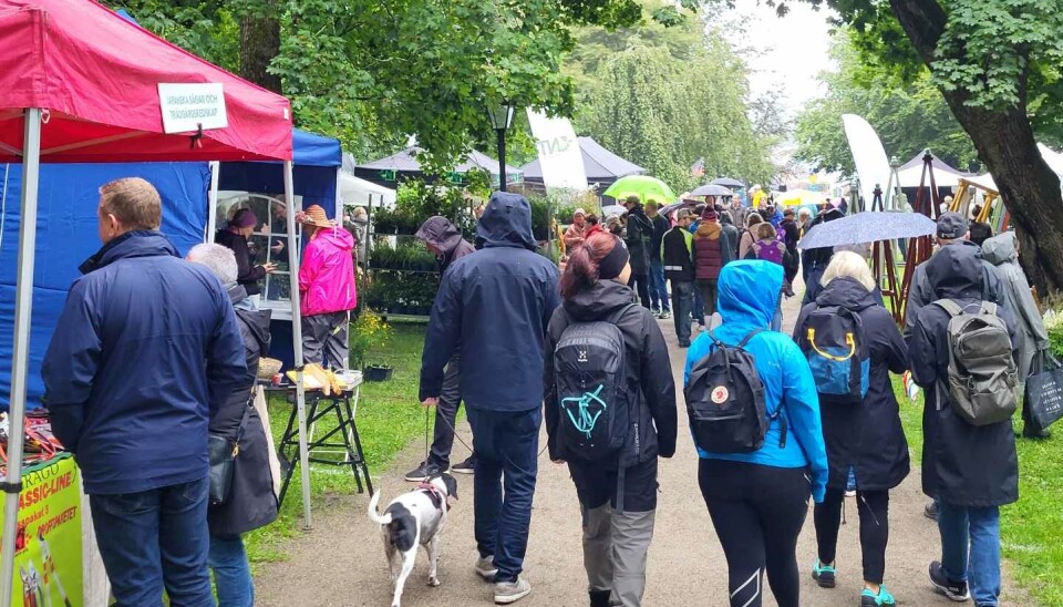 Förra årets Trädgårdsdag lockade många besökare, vädret till trots. I år finns en förhoppning om att det blir publikrekord.
