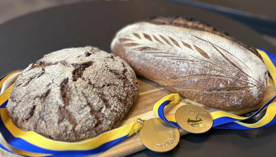 Guldbröd Schillströms Hantverksbageris vinnande bröd: Äppel-nöt och Jädra Levain.