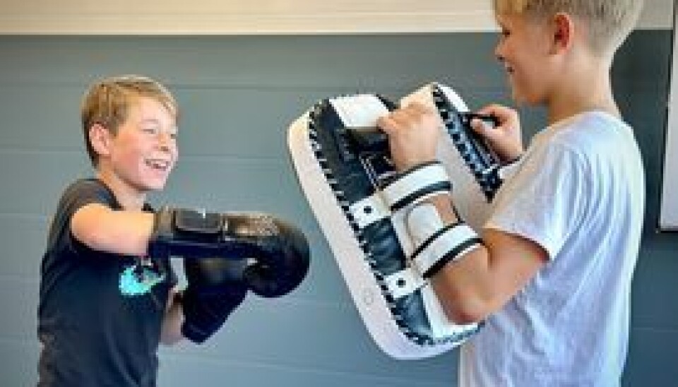 Klubben erbjuder träning för juniorer i thaiboxning och söker just nu en thaiboxningscoach för de yngsta knattarna .