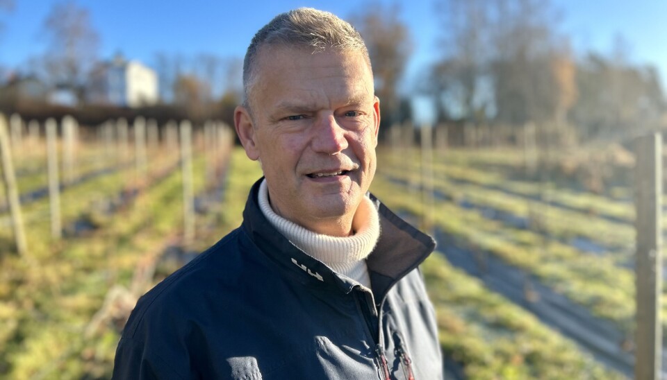 Drömmen blir sann. Björn Wollentz, vinodlare och passionerad pionjär, förverkligar sin dröm om att producera mousserande kvalitetsvin på familjegården Lillhassla i Häggeby.
