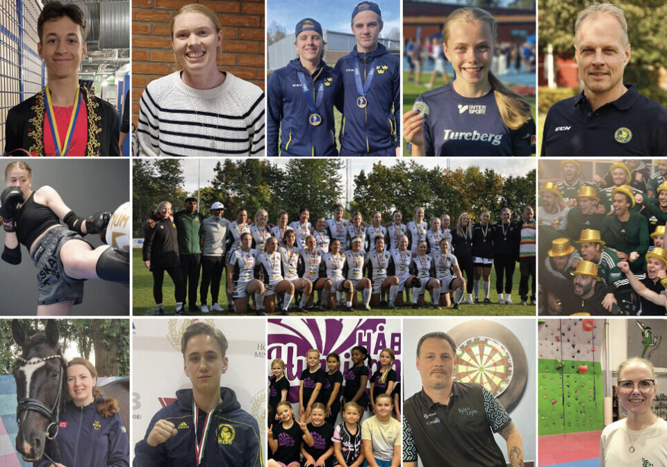 Utmana släkten, vem har störst framgång med våra lokala sportnötter?