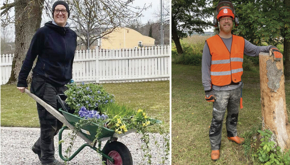 Trädgårdsfix – på stubben. Torbjörn Lindberg har gått som trädgårdslärling under flera år och är utbildad i både trädfällning och klättring. Maria Svensson är trädgårdsmästare.