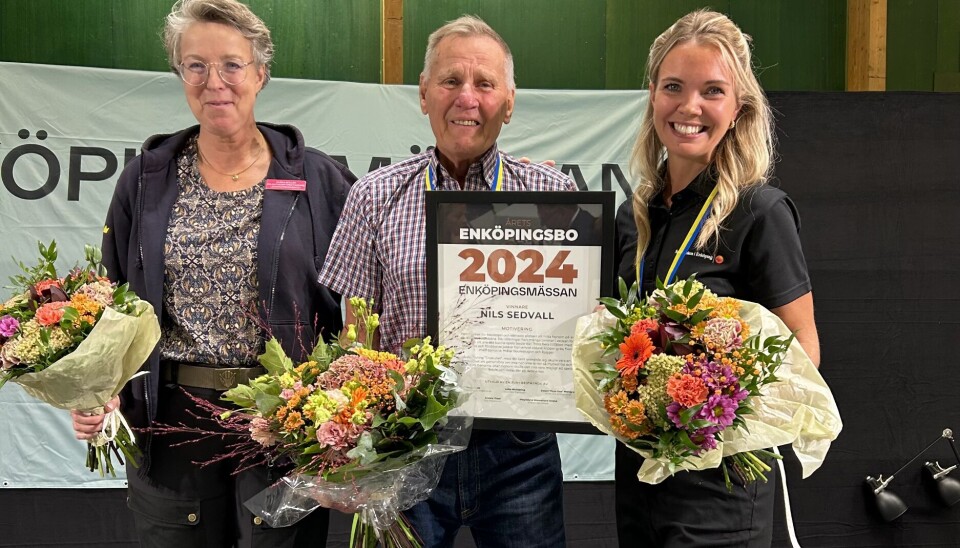 Årets Enköpingsbo 2024. Från vänster: Ulrika Möller, Nils Sedvall och Lisa Alvemark. Vinnaren för 2024 blev Nils Sedvall.