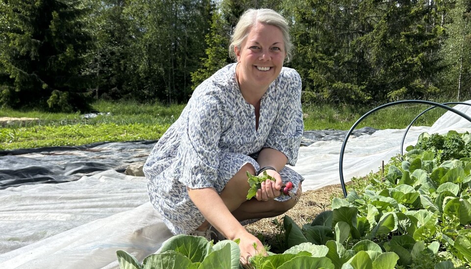 Flera vinster. Ellen Fisher Lundin har som filosofi att skapa mat som är bra för såväl kroppen, jorden som framtiden.