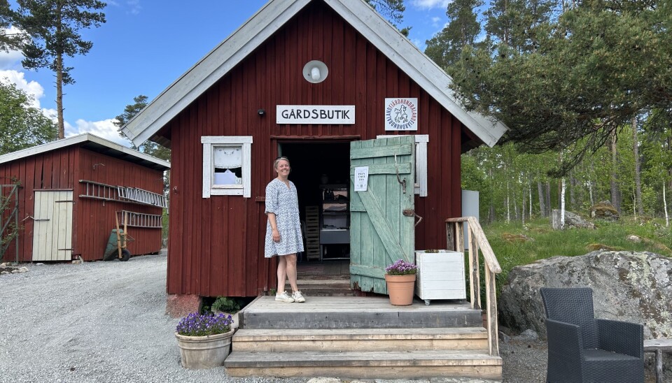 Gårdsbutiken fylls på allteftersom ätbara godsaker mognar.
