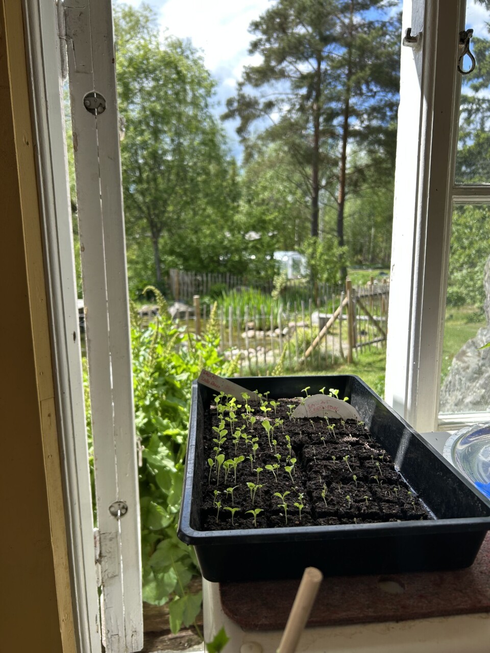 Liten späd blast på tillväxt.