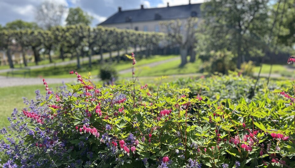 Grönsöö slott - unikt bevarad slottsmiljö med parker, vacker natur och äppelodlingar invid Mälarens strand.
