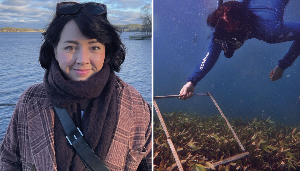 Barnboksdebuterar. Marinbiologen Elina Krés från Enköping tar klivet från havsdjupet in i barnboksvärlden med debuten ”Korallstaden”.