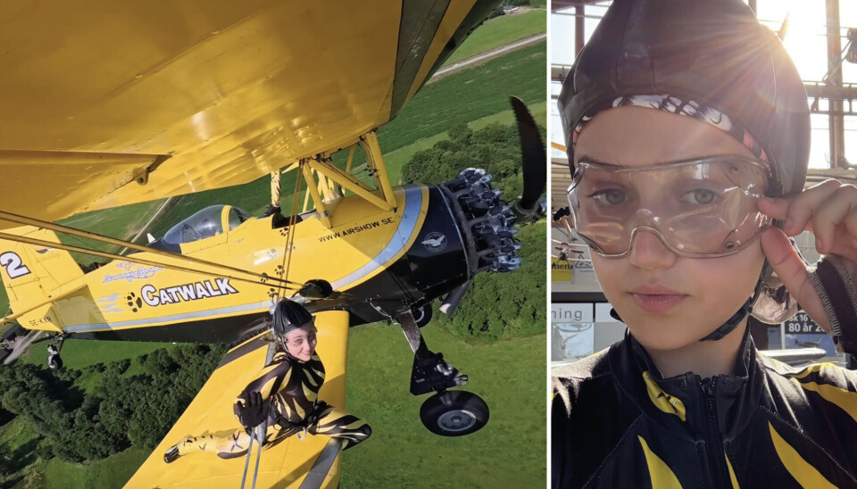 Akrobatik på hög nivå. Som en av sju wingwalkers, Sky cats, gör 16-åriga Greta Holländer akrobatik på flygplansvingen, flera hundra meter upp i luften.