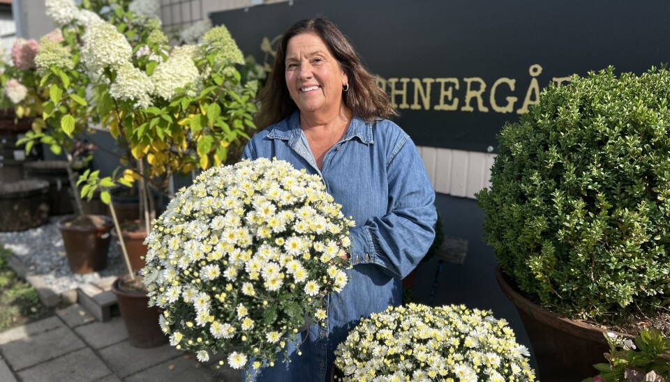Boostande bollkryss. Till hösten boostar Eva Pettersson, Löthnergården, med bollkryss i höstens alla härliga färger.