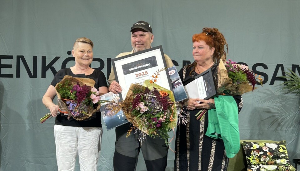 Finalisterna. Från vänster: Eva Lena Zackrisson, Anders Ottosson och Ann-Sofie Millberg.