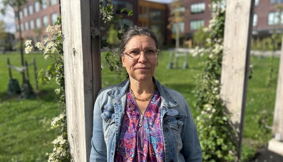 Ger eleverna en röst. Martina Ericson är rektor och författare. Nu släpper hon sin senaste bok 'Röster från klassrummet'.