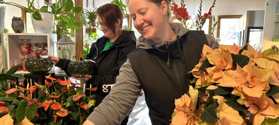 Glädjens Blommor växer vidare – flyttar till ny lokal i Litslena