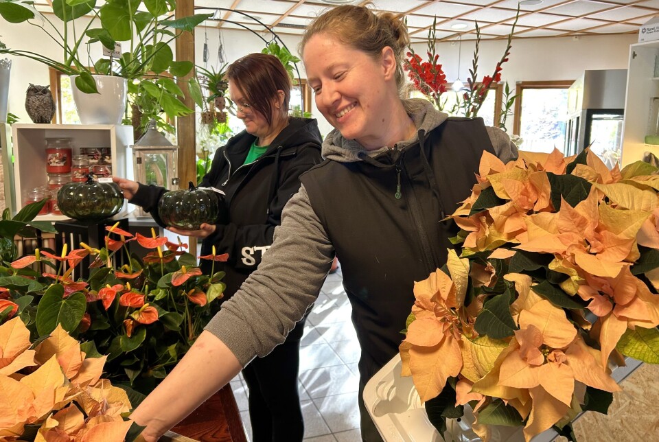 Öppnar ny blomsterhandel i Enköping. Sofia Einefors och Jenny Sjöberg Björklund driver butiken i gamla Hummelstabarens lokal. I december flyttar verksamheten till Litslena Sneby 2.