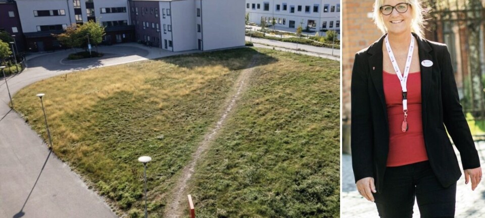 Riksbyggen pausar bostadsbygge i Enköping – väntar på bättre marknad