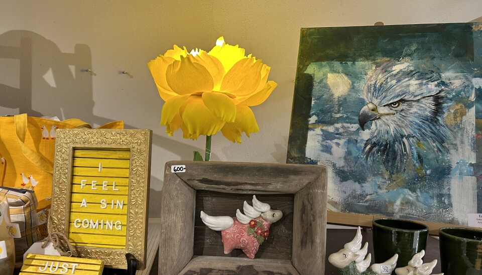 Made in Enköping lockade hundratals till design-popup i Paushuset